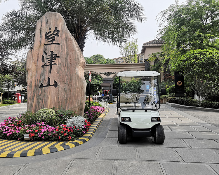 高爾夫觀光車-綠欣