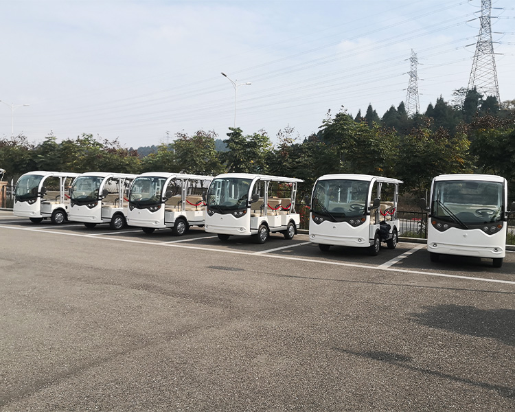 電動(dòng)觀光車-綠欣電動(dòng)車