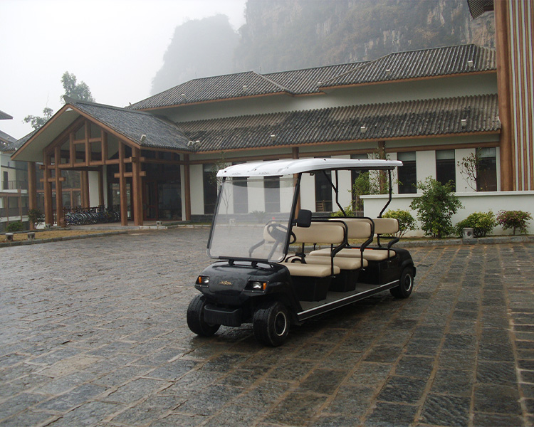 高爾夫球車-成都綠欣