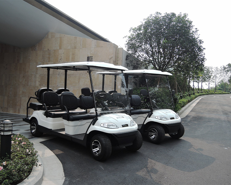 成都綠欣電動觀光車-高爾夫球車