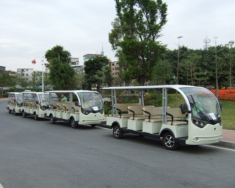 電動(dòng)觀光車(chē)