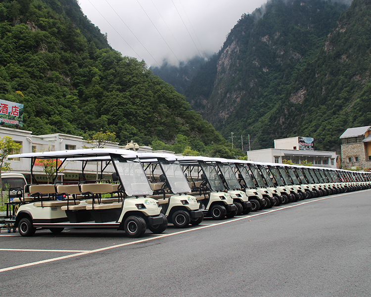 電動(dòng)觀光車(chē)